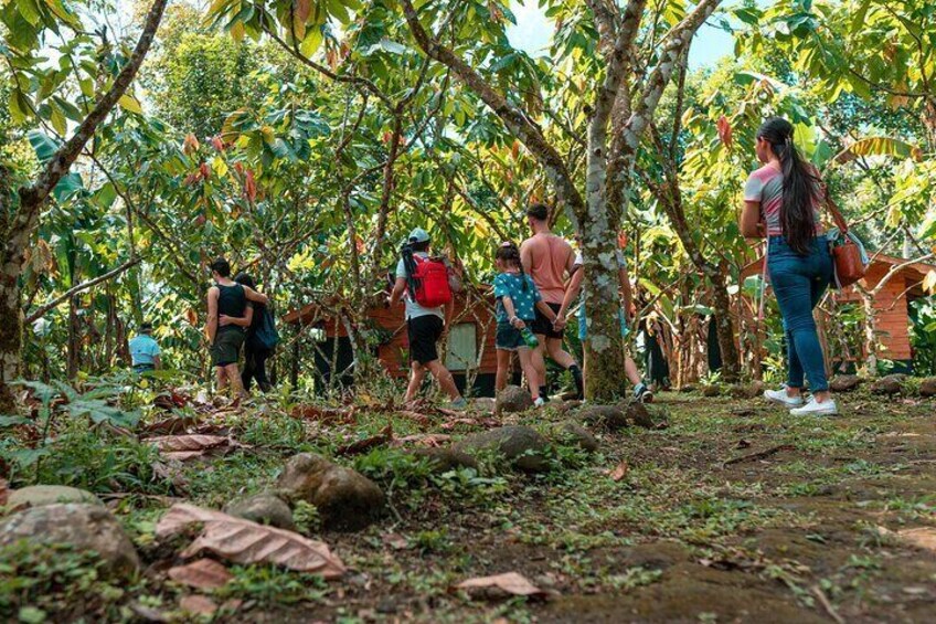 Eden Chocolate Tour - The best chocolate tour in La Fortuna