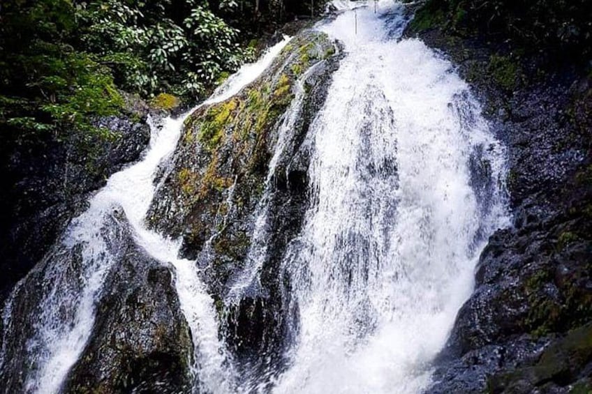 5 Hour Off-Road ATV+ Zipline+ Waterfall Rappelling+ Tractor Jungle Tour 5
