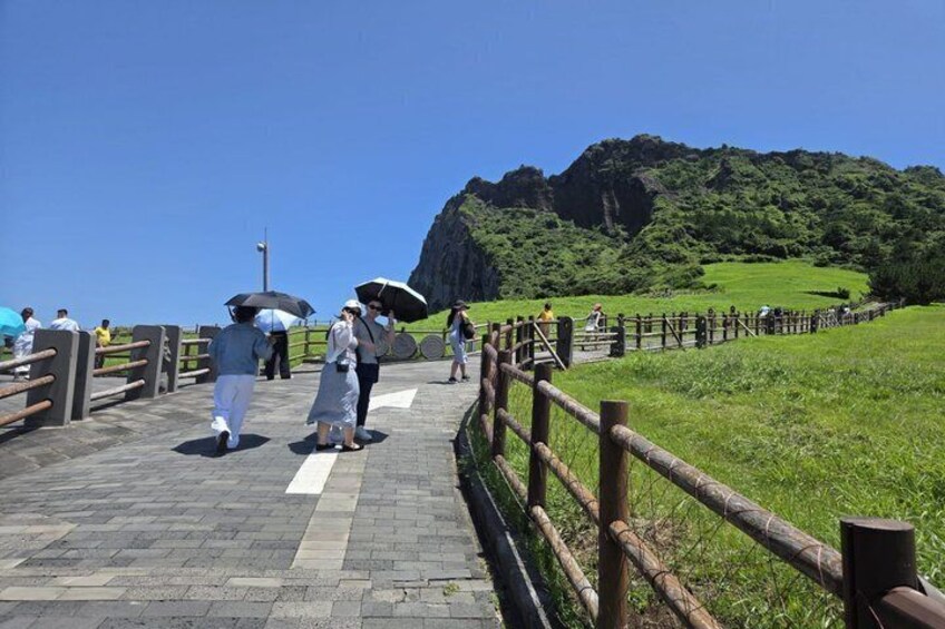 Jeju Island Private Taxi Tour : 2 Full days 5