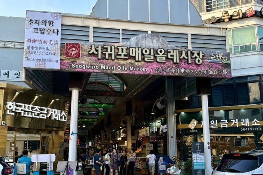 [For Cruise Guest]Jeju UNESCO Tour from Gangjeong Cruise Terminal 2