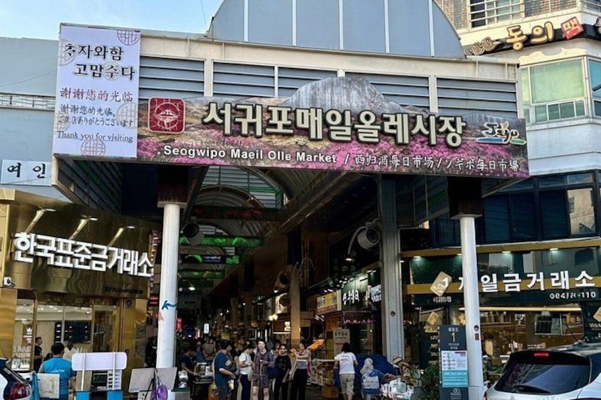 [For Cruise Guest]Jeju UNESCO Tour from Gangjeong Cruise Terminal 2