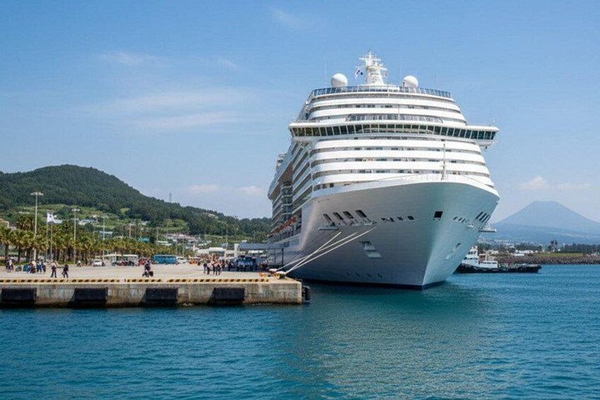 [For Cruise Guest]Jeju UNESCO Tour from Gangjeong Cruise Terminal 1