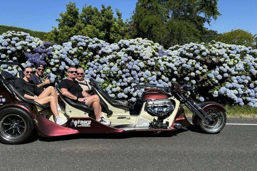 TAURANGA SHORE EXCURSION: Epic 25 min V8 Trike Tour (Tauranga) 3