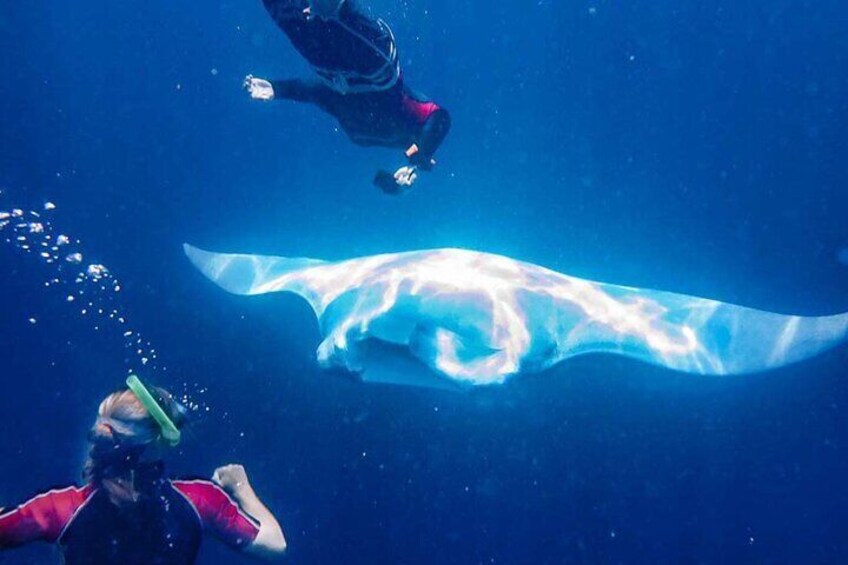 Two divers swimming near a large, transparent ice formation. 3
