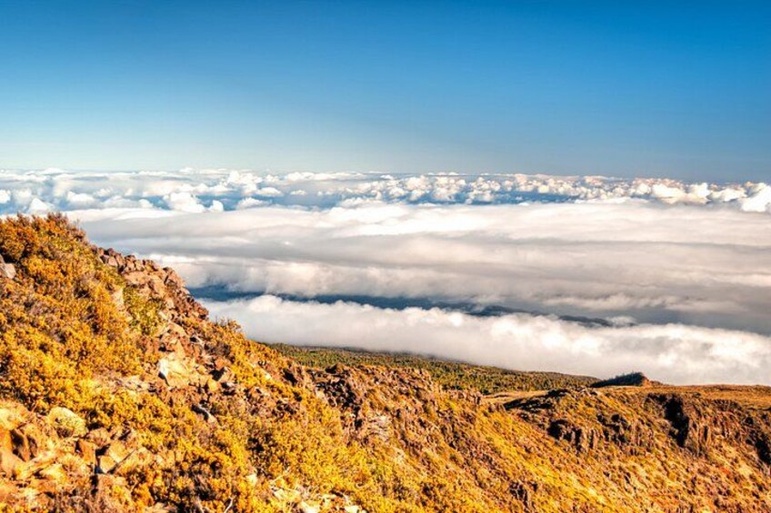 On Cloud 9 2