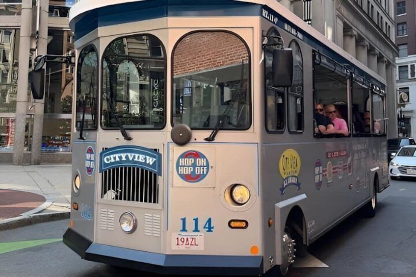 A cityview bus with the number 114, a 'Hop on Hop Off' sign, and a '19AZL' license plate. 3