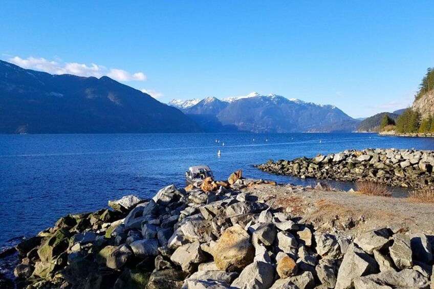 Vancouver to Whistler Tour - Downtown Hotel Pick Ups Only 5