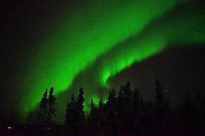 Chena Hot Springs Aurora Tour 3