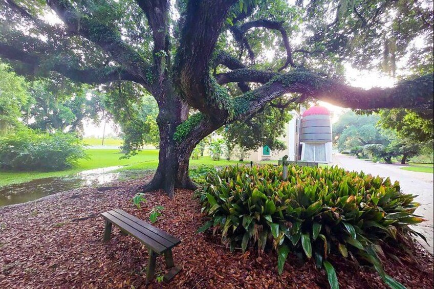 Destrehan Plantation Tour 3