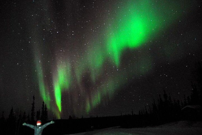 The Northern Lights over a snowy landscape with trees and a road. 3