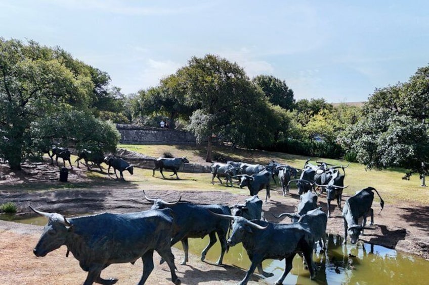 75 Min Dallas City Highlights Tour 3