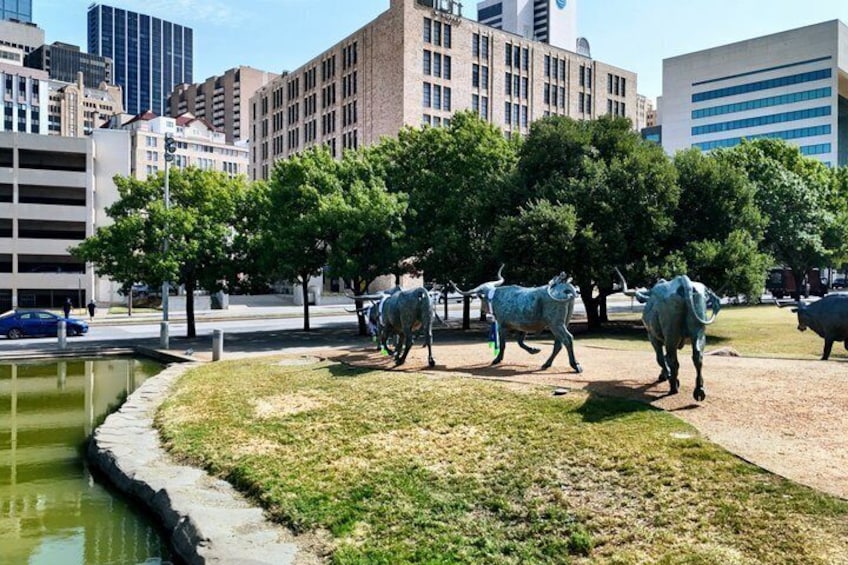 75 Min Dallas City Highlights Tour 2