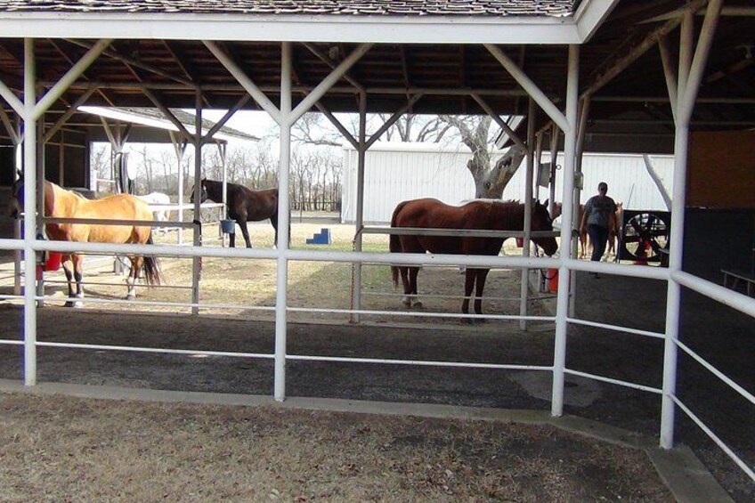 Southfork Ranch and Dallas/JFK Highlights Tour 4