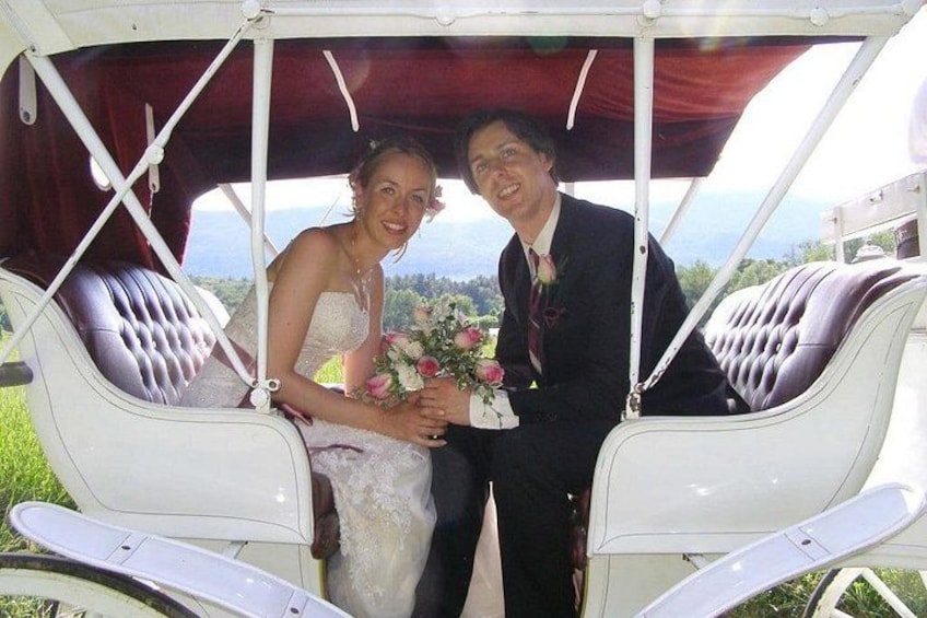 A wedding couple in a vintage carriage with a scenic view. 2