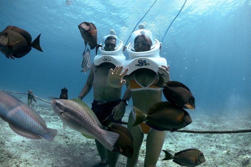 Two divers underwater surrounded by various fish. 4
