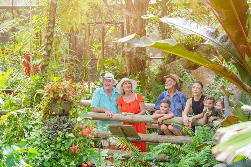 A family sitting on a wooden bench surrounded by lush greenery and various plants. 3
