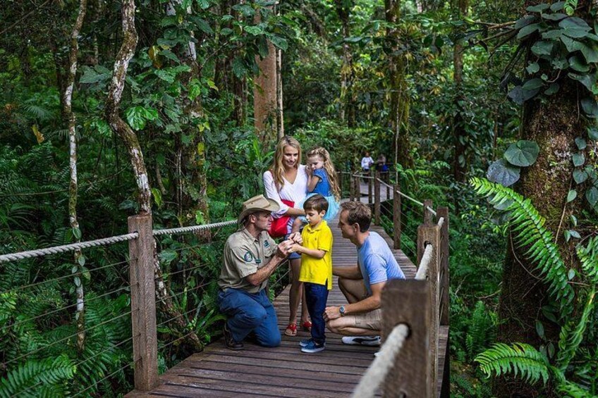 A group of people on a wooden bridge in a forested area with dense foliage. 3