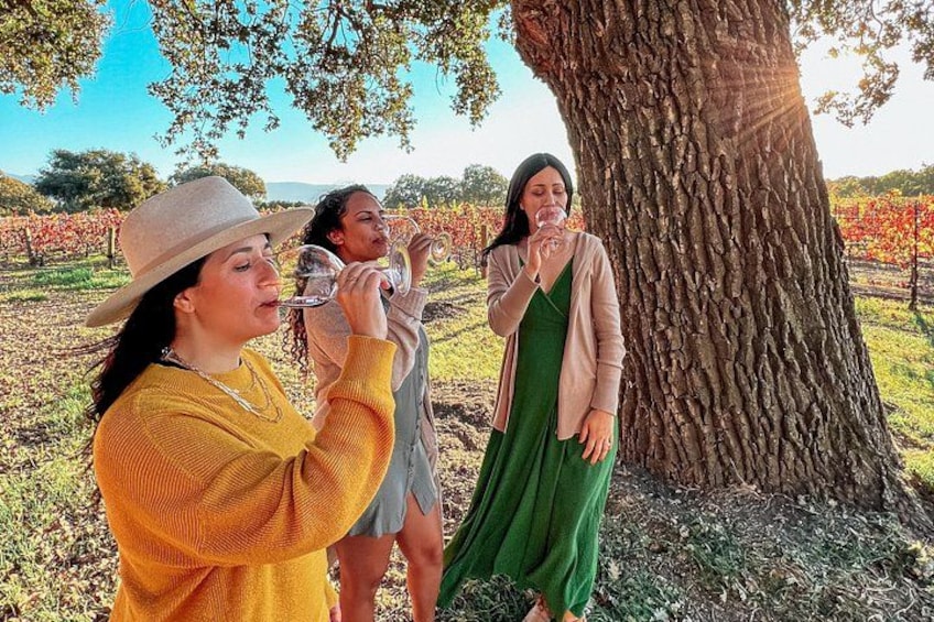 All Inclusive Santa Ynez Wine Tour 5