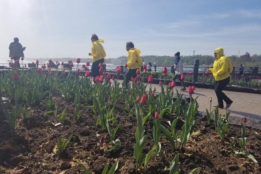 Tour of Niagara Falls with Boat Cruise 5