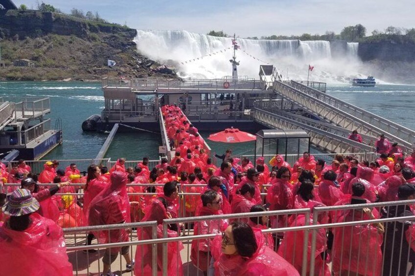 A crowd in pink raincoats at a waterfall viewpoint. 3