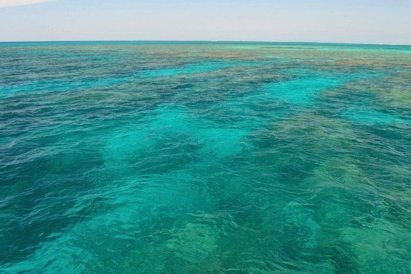 Key West Reef Snorkel & Sail Adventure 2
