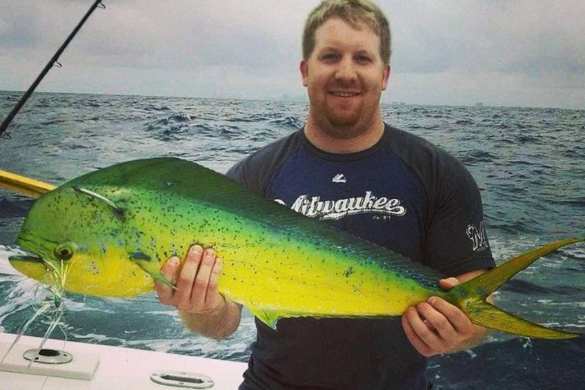 nice mahi caught aboard the New Lattitude 4