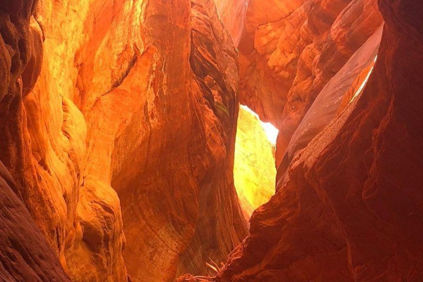 A canyon with red rock formations and a narrow passageway. 2