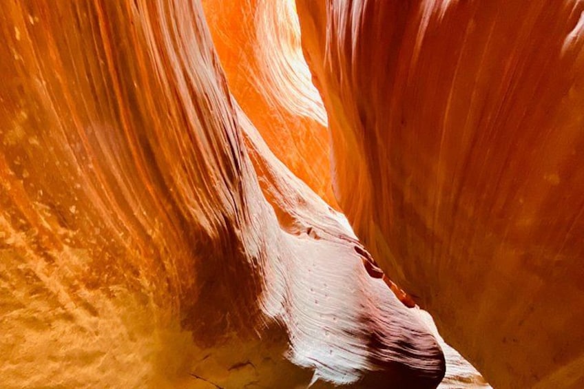 A narrow canyon with smooth, curved rock walls and a narrow passageway. 1