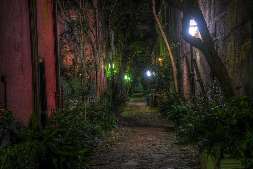 A narrow cobblestone path flanked by dense foliage and a building with a red facade. 1