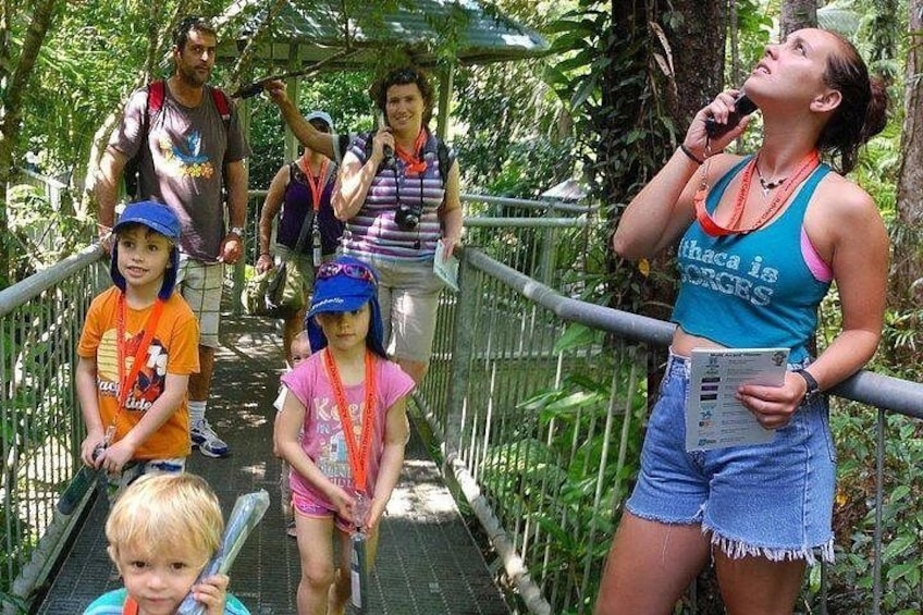 A group of people on a bridge surrounded by greenery. 1