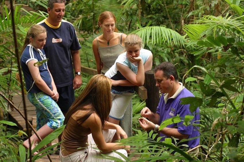 Daintree Discovery Centre Single Pass 5