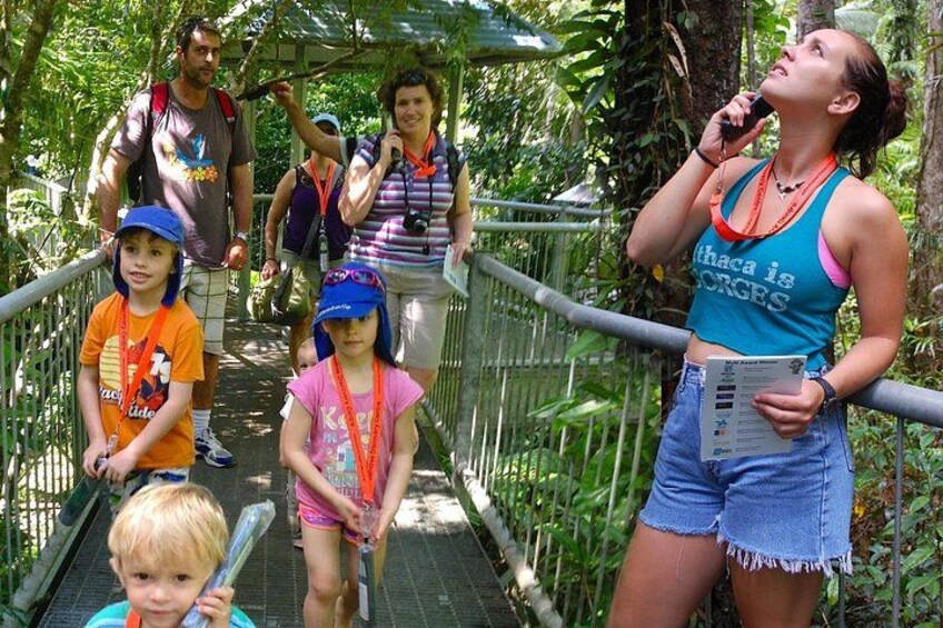 Daintree Discovery Centre Single Pass 4