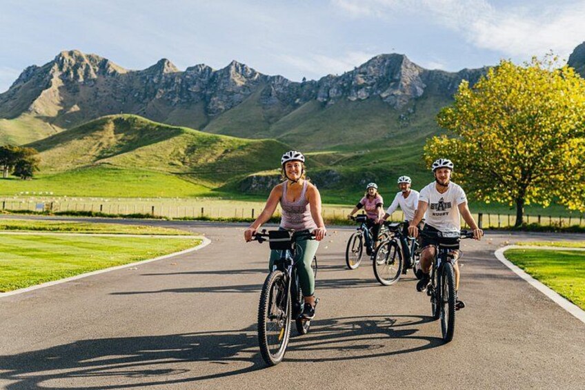 Cape Winery Cycle Tour - 6 wineries, self-guided 3