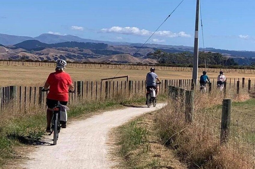 E-Bike to Napier Wineries - SELF-GUIDED, 3-5 hours 2