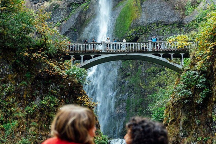 Un puente sobre una cascada, con gente caminando. 4