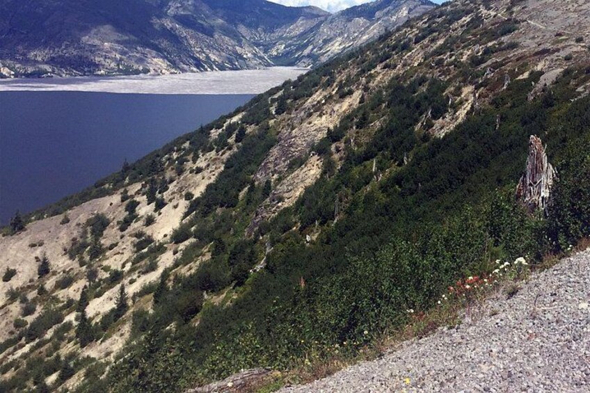 The Mt St Helens Adventure Tour from Portland 4