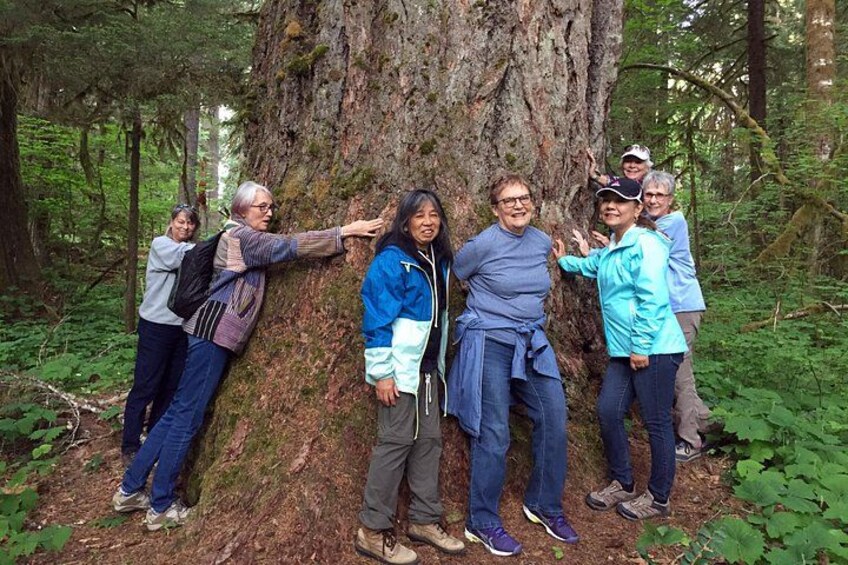 The Mt St Helens Adventure Tour from Portland 2