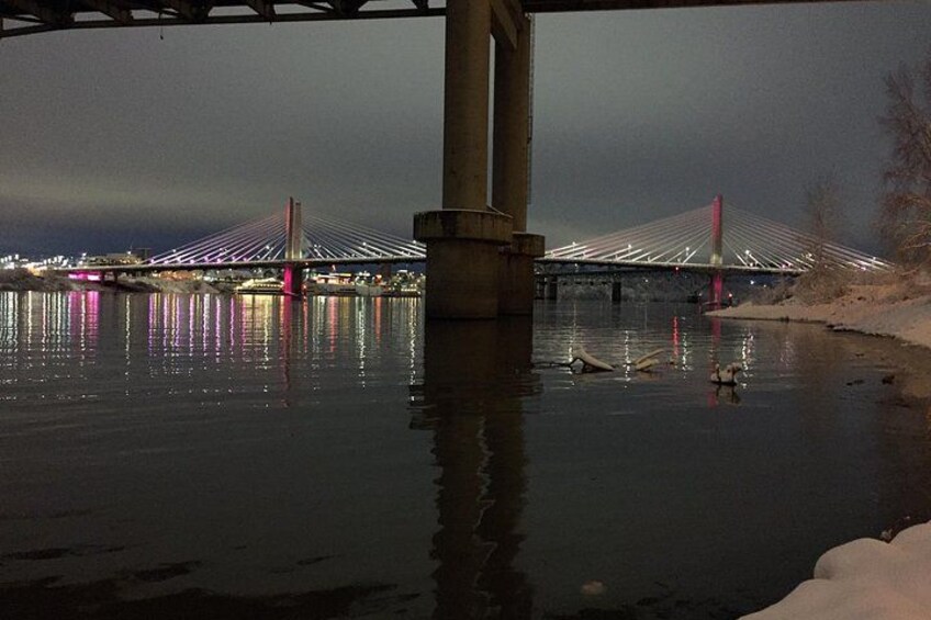A bridge at night with lights reflecting on the water. 4