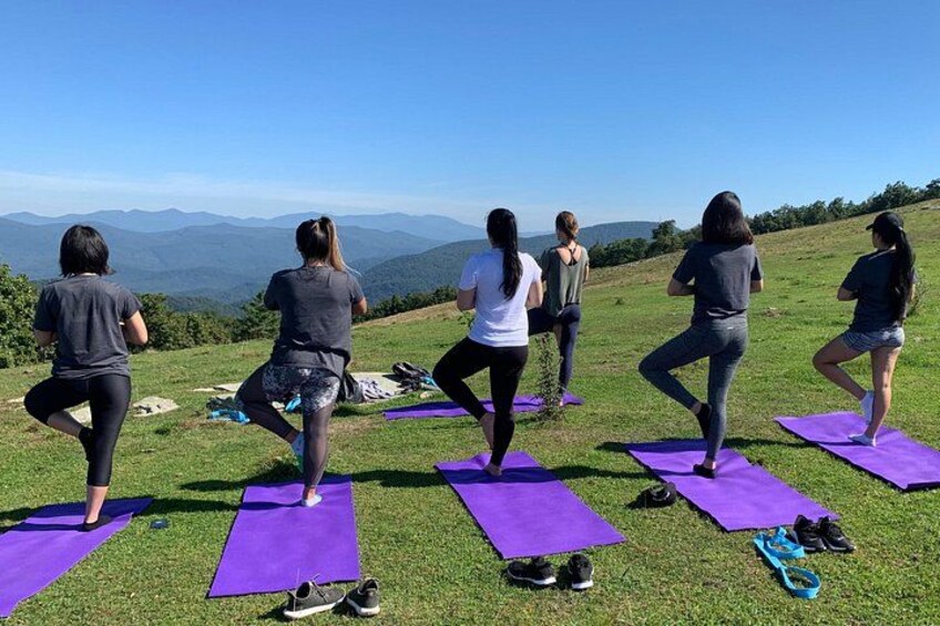 Un grupo de personas haciendo ejercicio sobre esterillas moradas al aire libre, con un paisaje montañoso de fondo. 3
