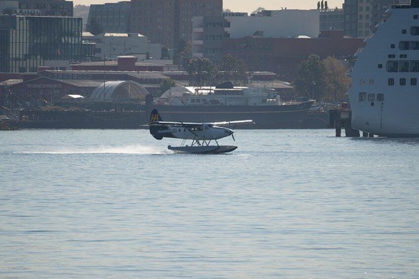 Et vandfly på vand med en bysilhuet i baggrunden. 5