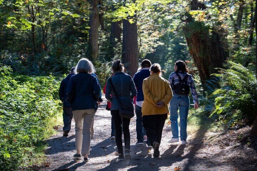 A group of people walking on a forest trail surrounded by trees. 5