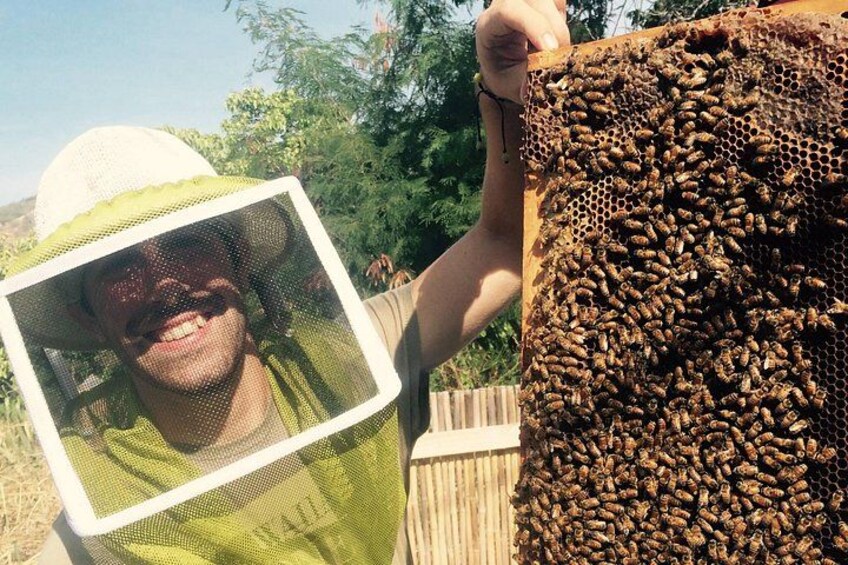 Up close and personal, Joe shows and explains the world of bees! 1