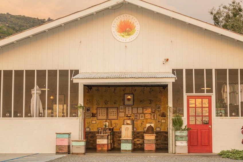 Museum-store 2