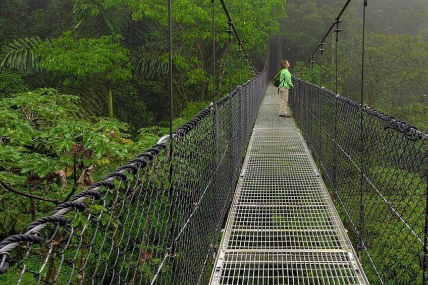 Breath deeply and feel the essence of the rain forest 5