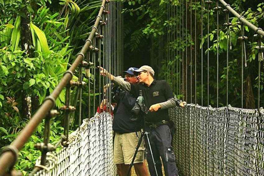 A person crossing a rope bridge in a forested area. 2