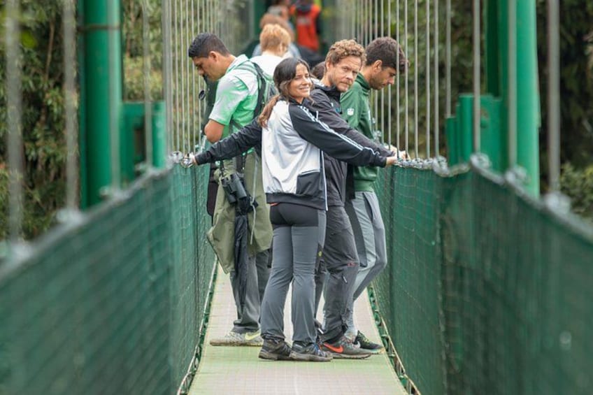 A group of people on a suspension bridge with greenery on either side. 5