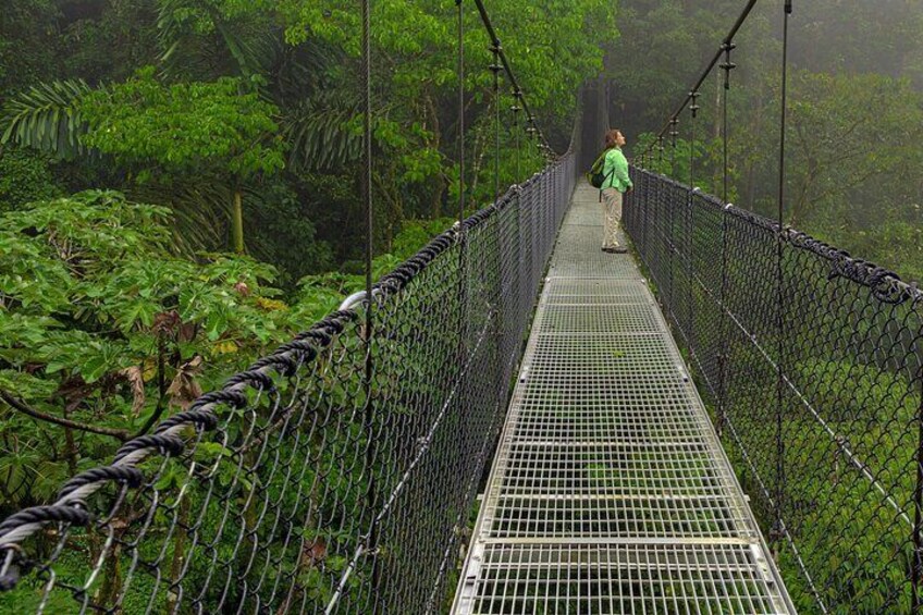 Una persona caminando sobre un puente colgante rodeado de vegetación verde densa. 2