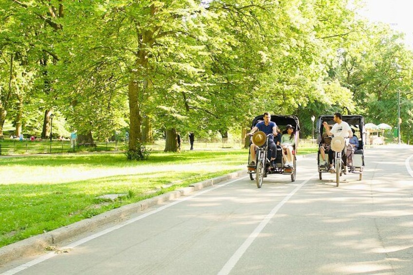 Comfortable pedicabs and professional tour guides 3