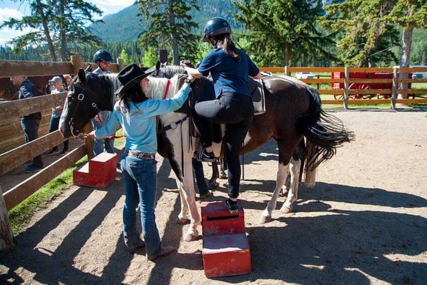 Una persona aseando un caballo en un área cercada, con árboles y montañas al fondo. 3
