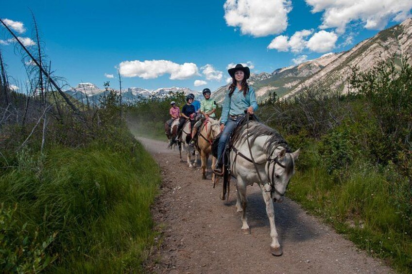 2 Hour Banff Horseback Riding Adventure 2